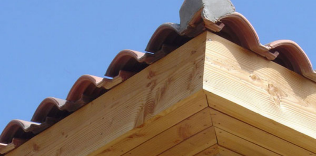 Planche de rive �pic�a CH3 